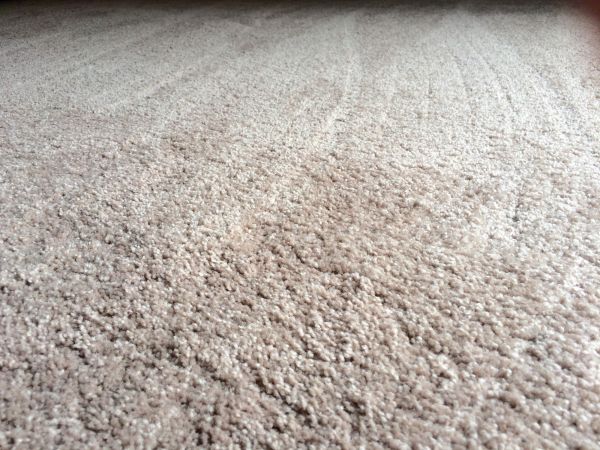 Plush Carpet Installation in Laguna Niguel